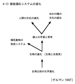 複雑適応システムの進化