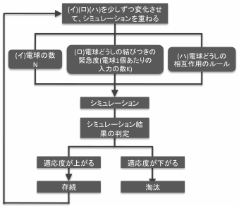 ブール式ネットワークの「複雑適応システム」の進化